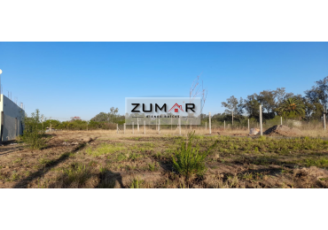 TERRENO EN VENTA EN RETOÑOS DE COLON!