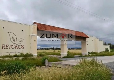 TERRENO EN VENTA EN RETOÑOS DE COLON!